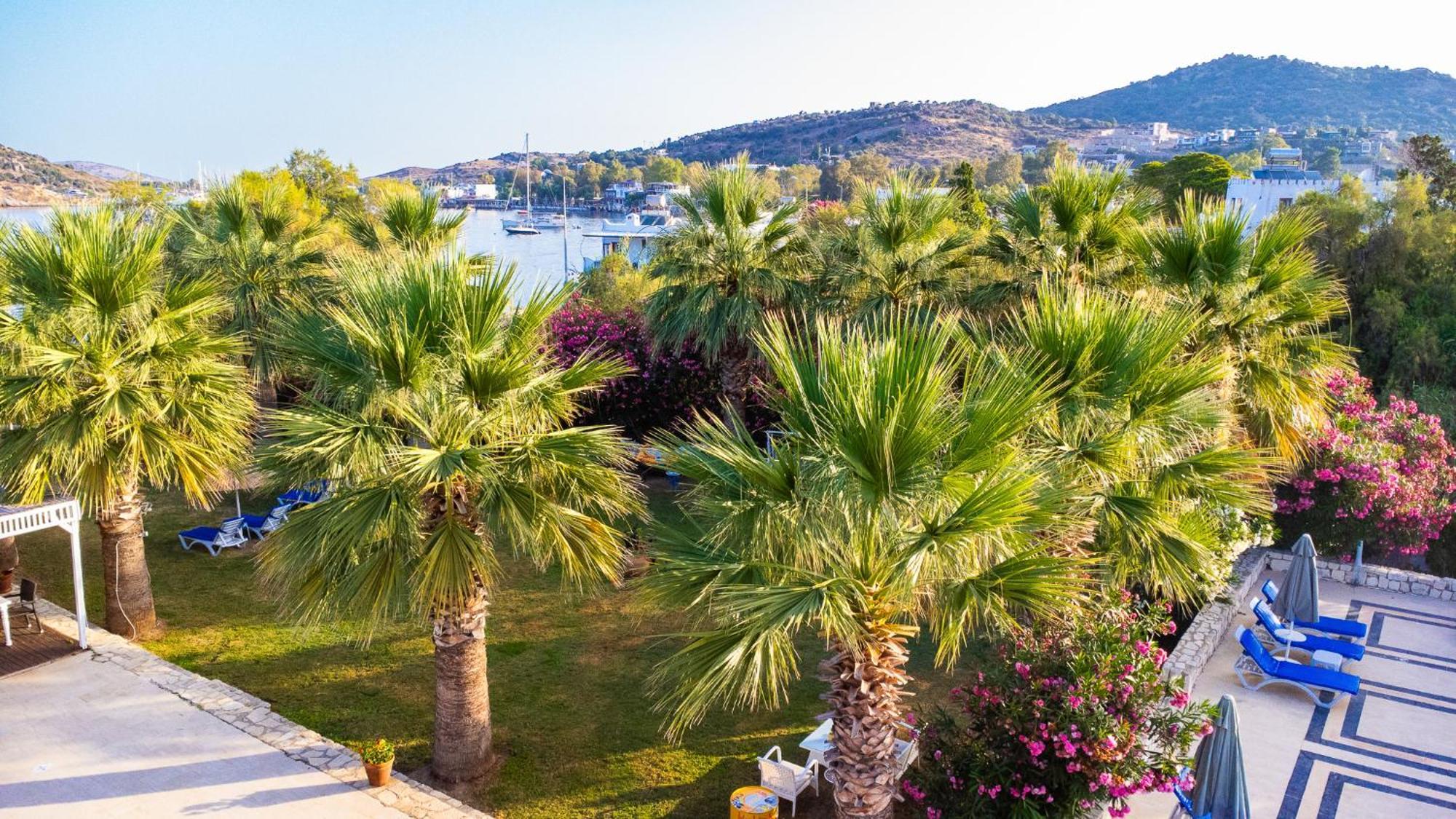 Ladonia Hotels Zemda Guemuesluek 외부 사진